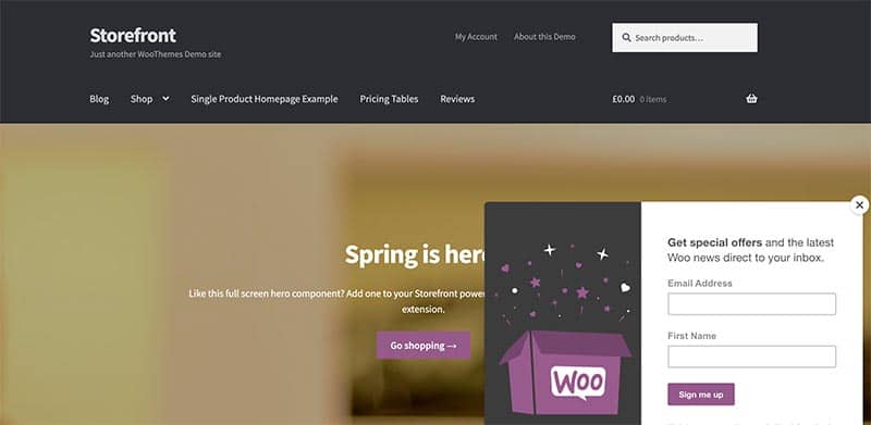 The Fastest Woocommerce Themes 15