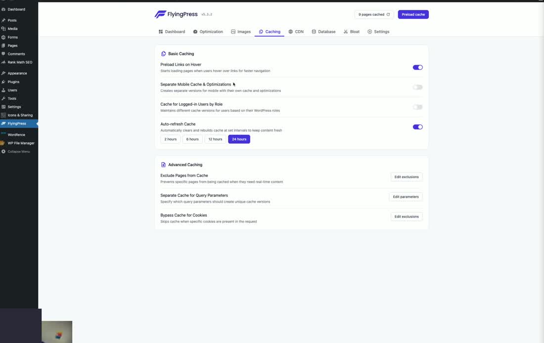 Flyingpress Caching Tab Settings