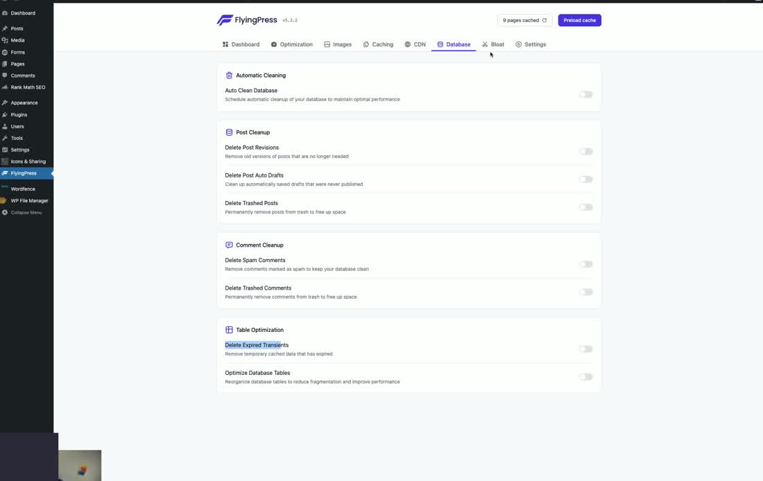 Flyingpress Database Tab Settings