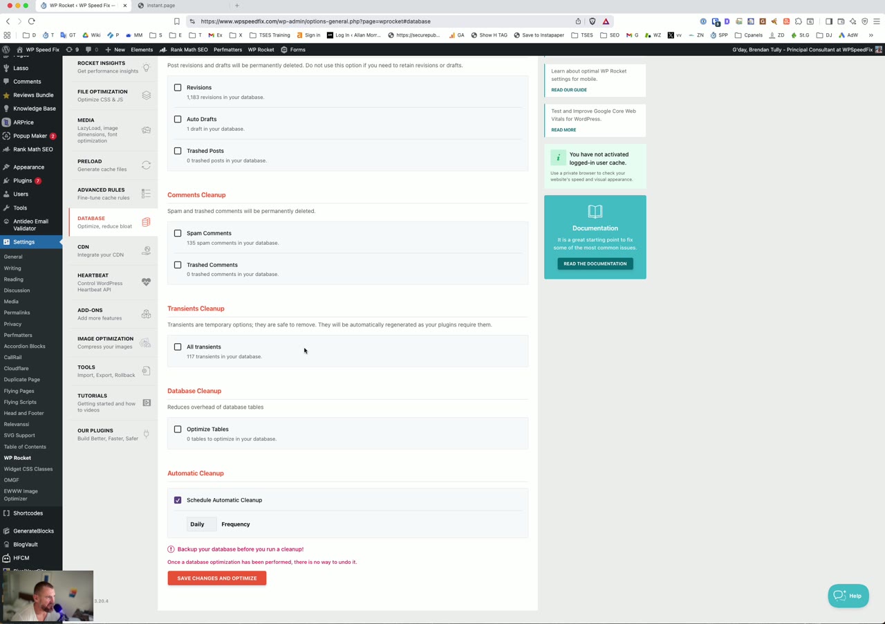 Wp Rocket Database Optimization Settings