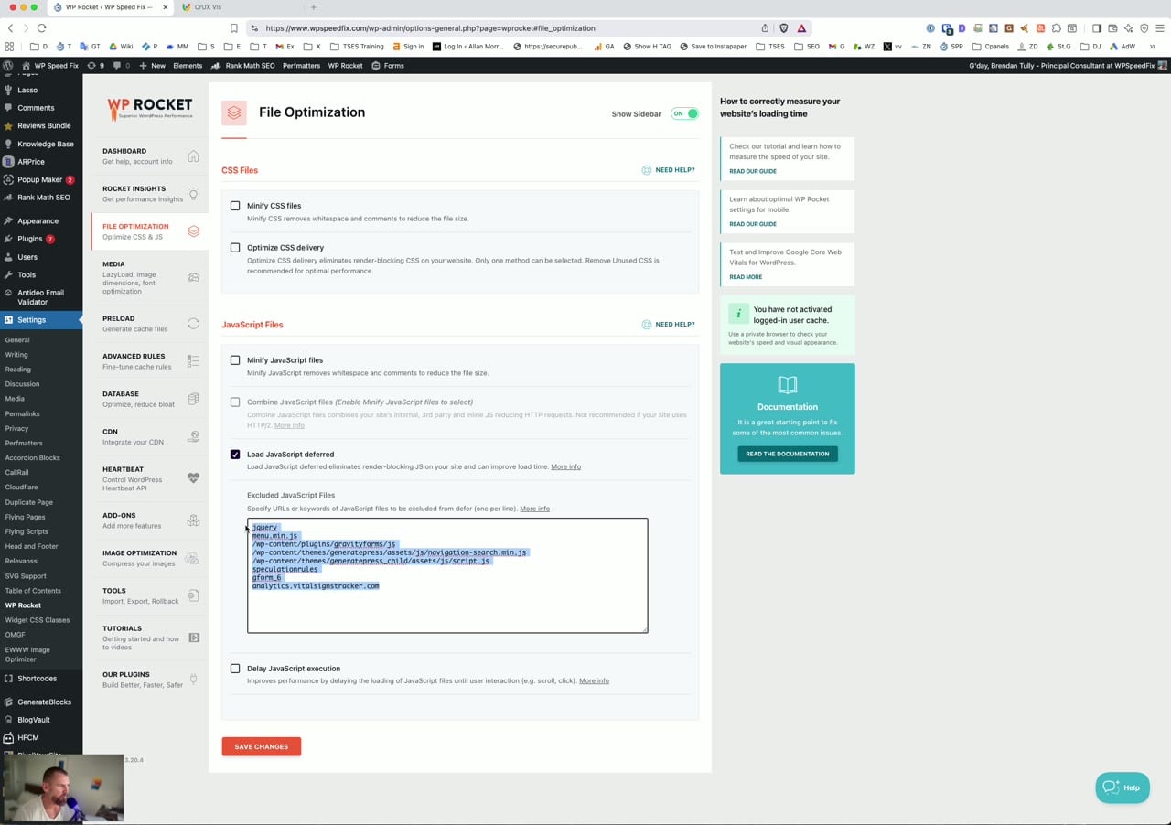 Wp Rocket Delay Javascript Execution Settings